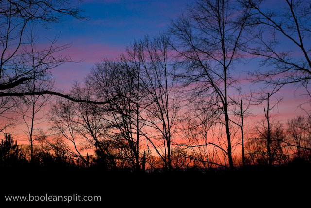 foreground texture sunset