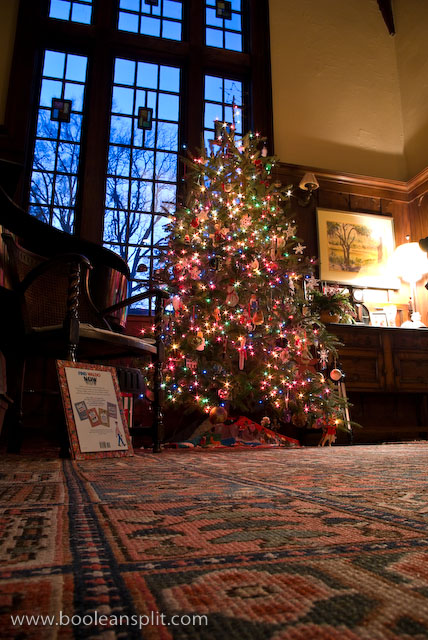 Christmas tree at dusk